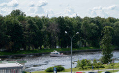 DSC01251.jpg