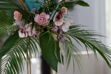 DSC01287.JPG